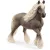Schleich 13914 Silver Dapple kanca