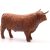Schleich 13919 Skót felföldi szarvasmarha bika