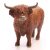 Schleich 13919 Skót felföldi szarvasmarha bika