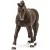 Schleich 13926 Német lovagló-póni paripa
