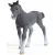 Schleich 13944 Trakehneni csikó