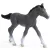 Schleich 13944 Trakehneni csikó