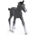 Schleich 13944 Trakehneni csikó