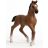Schleich 13947 Oldenburgi csikó