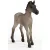 Schleich 13949 Criollo Definitivo csikó