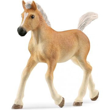 Schleich 13951 Haflingi csikó