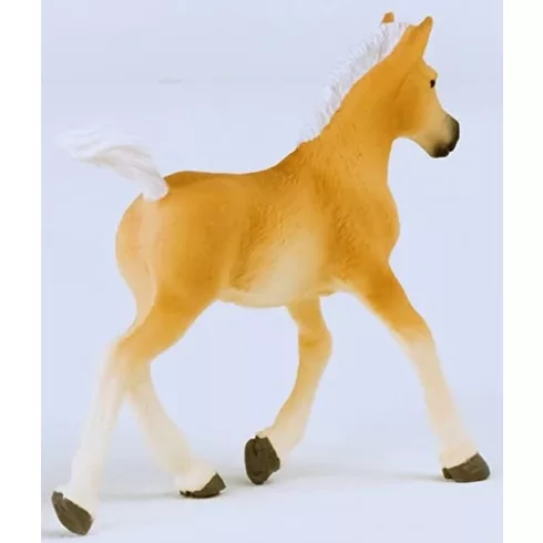 Schleich 13951 Haflingi csikó