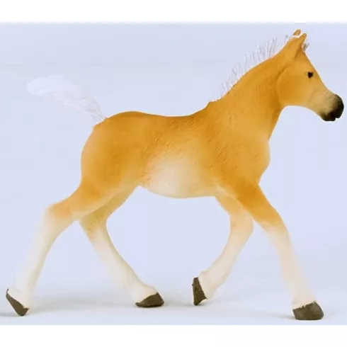 Schleich 13951 Haflingi csikó