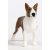 Schleich 13966 Bullterrier kutya