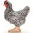 Schleich 13997 Plymouth Rock tyúk