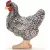 Schleich 13997 Plymouth Rock tyúk
