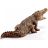 Schleich 14736 Krokodil