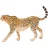 Schleich 14746 Nőstény gepárd