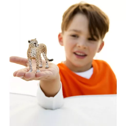 Schleich 14746 Nőstény gepárd