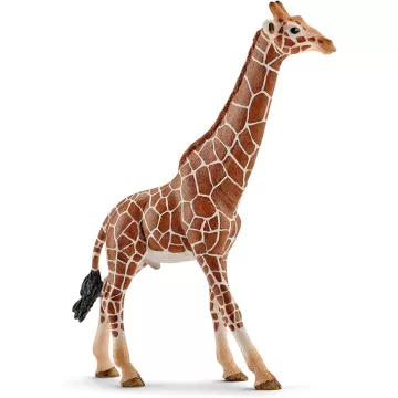 Schleich 14749 Zsiráfbika