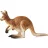 Schleich 14756 Kenguru