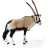 Schleich 14759 Nyársas antilop