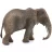 Schleich 14761 Afrikai elefánttehén