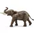 Schleich 14762 Afrikai elefántbika