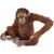 Schleich 14775 Orangután nőstény