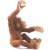 Schleich 14776 Orangután kölyök