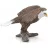 Schleich 14780 Fehérfejű rétisas