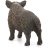 Schleich 14783 Vaddisznó