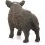 Schleich 14783 Vaddisznó
