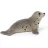 Schleich 14802 Fókakölyök