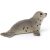 Schleich 14802 Fókakölyök