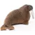Schleich 14803 Rozmár