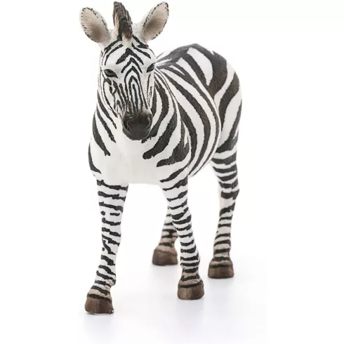 Schleich 14810 Zebra kanca