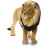 Schleich 14812 Hím oroszlán
