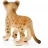 Schleich 14813 Oroszlánkölyök