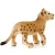 Schleich 14813 Oroszlánkölyök