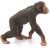 Schleich 14817 Hím csimpánz