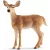 Schleich 14819 Fehérfarkú szarvastehén