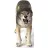Schleich 14821 Farkas