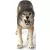 Schleich 14821 Farkas