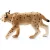 Schleich 14822 Hiúz
