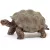 Schleich 14824 Óriásteknős