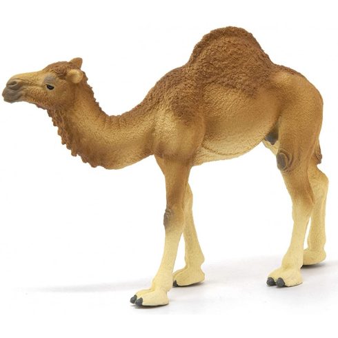 Schleich 14832 Dromedár