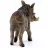 Schleich 14843 Varacskosdisznó