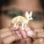 Schleich 14845 Sivatagi róka