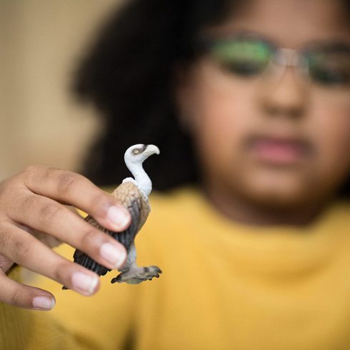 Schleich 14847 Keselyű