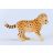 Schleich 14866 Gepárdkölyök
