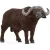 Schleich 14872 Kafferbivaly