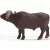 Schleich 14872 Kafferbivaly