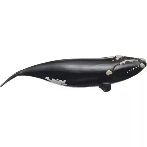 Schleich 14878 Északi simabálna