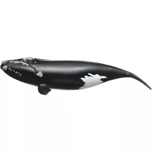 Schleich 14878 Északi simabálna